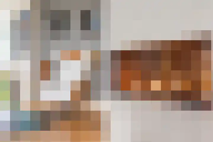 Vrijthofflaan 27 Numansdorp thumbnail 16