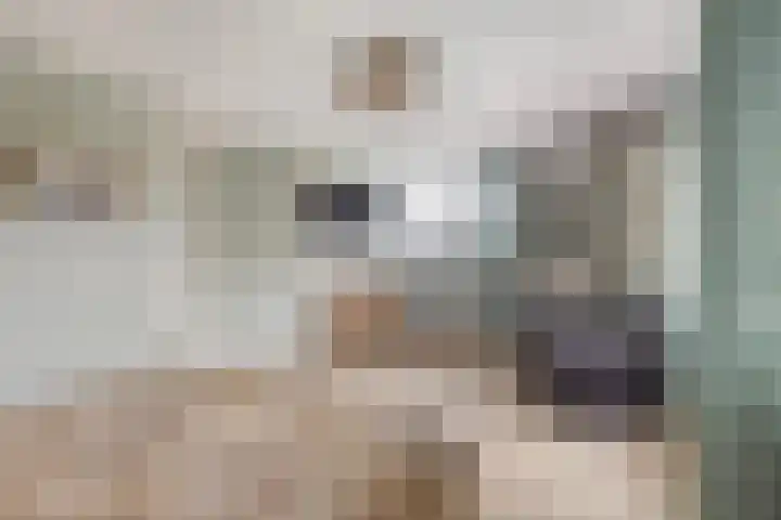 Vrijthofflaan 27 Numansdorp thumbnail 32