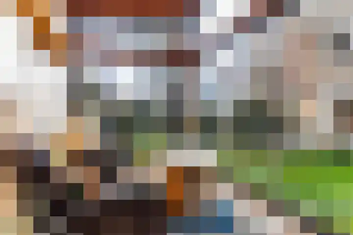 Vrijthofflaan 27 Numansdorp thumbnail 46