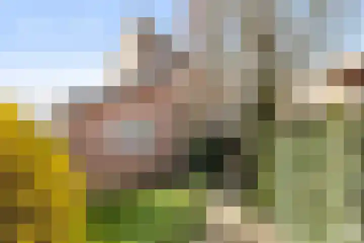 Vrijthofflaan 27 Numansdorp thumbnail 48