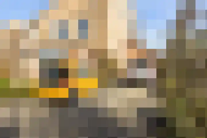 Vrijthofflaan 27 Numansdorp thumbnail 5