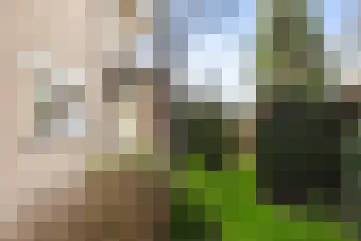 Vrijthofflaan 27 Numansdorp thumbnail 51