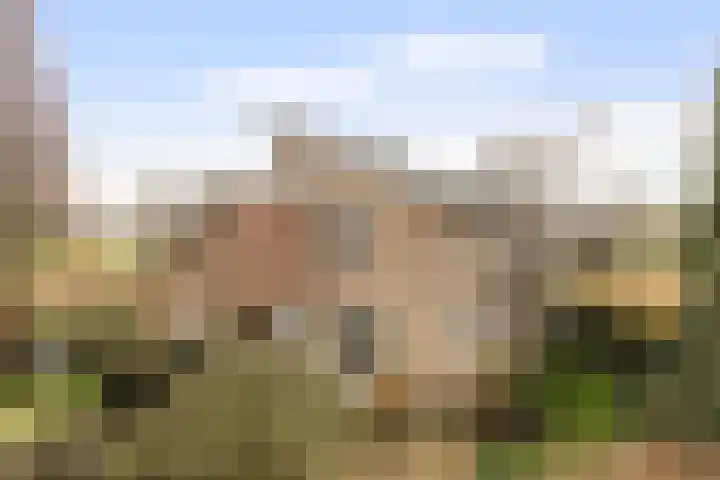Vrijthofflaan 27 Numansdorp thumbnail 55