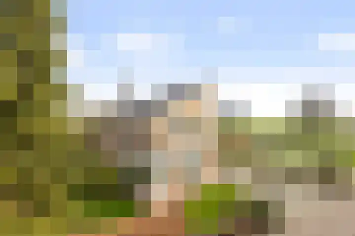 Vrijthofflaan 27 Numansdorp thumbnail 58