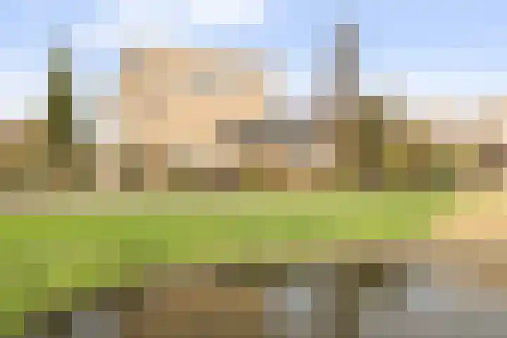 Vrijthofflaan 27 Numansdorp thumbnail 59