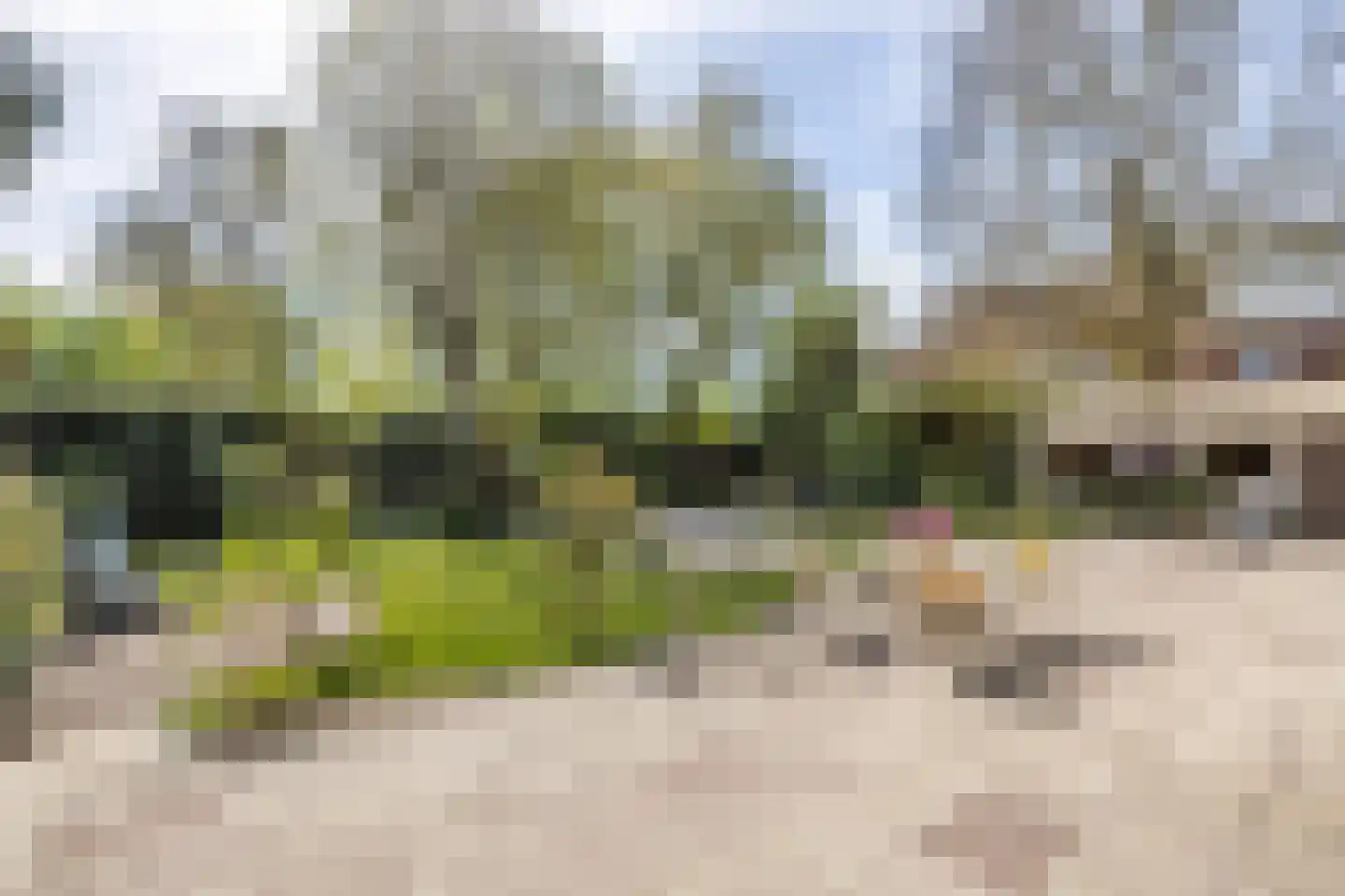 Vroedschapstraat 5 Gorinchem thumbnail 15