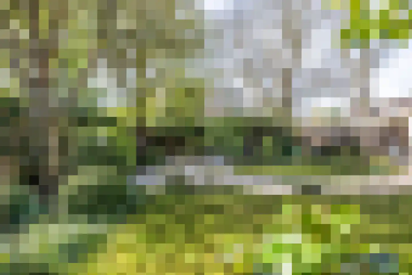 Vroedschapstraat 5 Gorinchem thumbnail 17