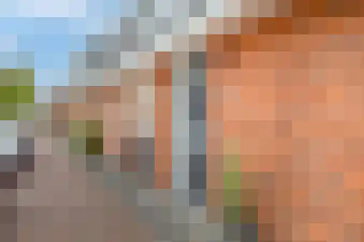 Vroegelingerf 24 Pijnacker thumbnail 5