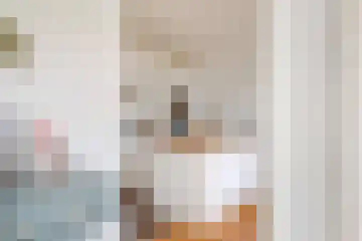 Vromade 33 Bodegraven thumbnail 13