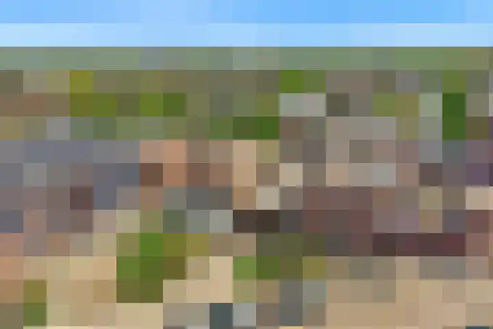 Vromade 33 Bodegraven foto 2