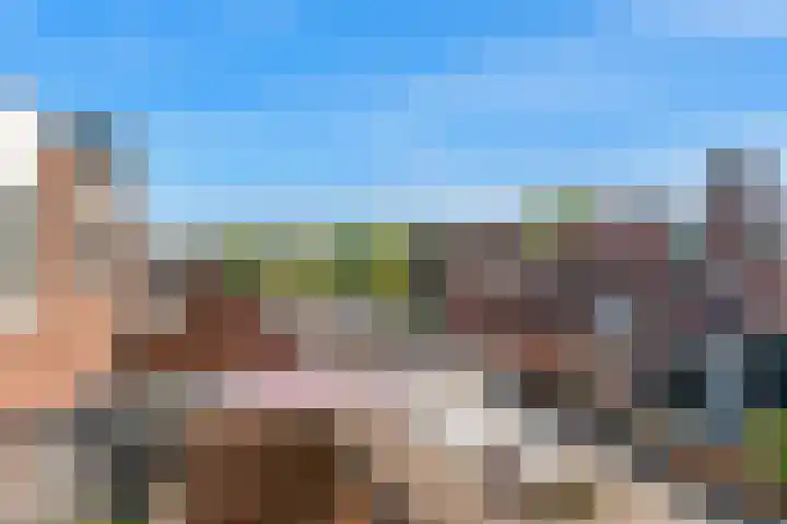 Vromade 33 Bodegraven thumbnail 38