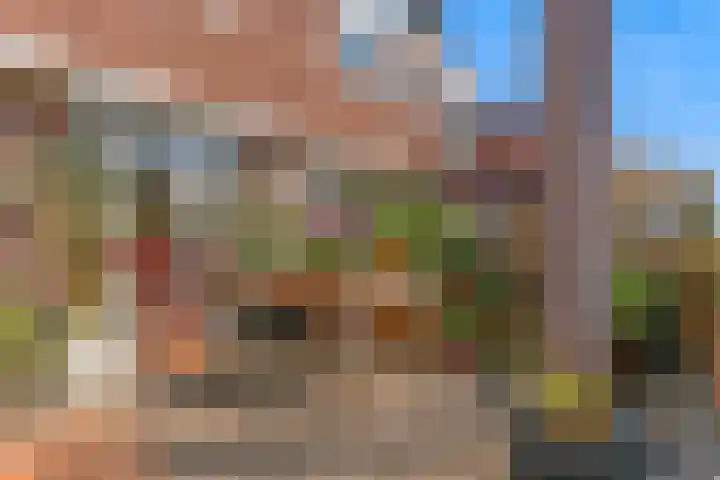 Vromade 33 Bodegraven thumbnail 39