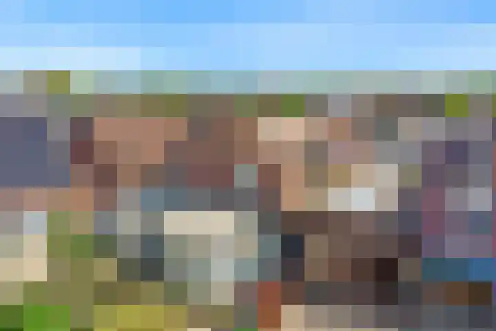 Vromade 33 Bodegraven thumbnail 45