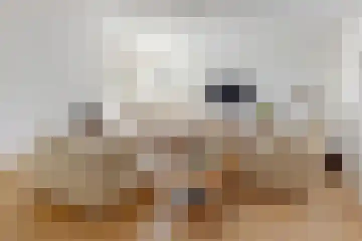 Vromade 33 Bodegraven thumbnail 5