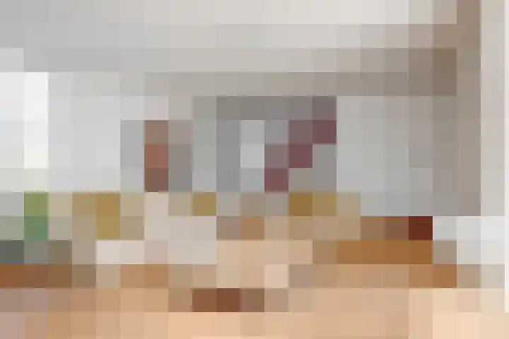 Vromade 33 Bodegraven thumbnail 8