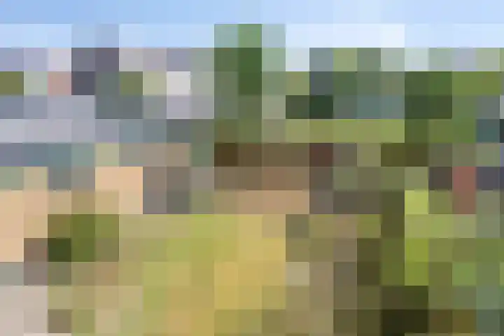 Vronen 18 in Nieuw-Vennep