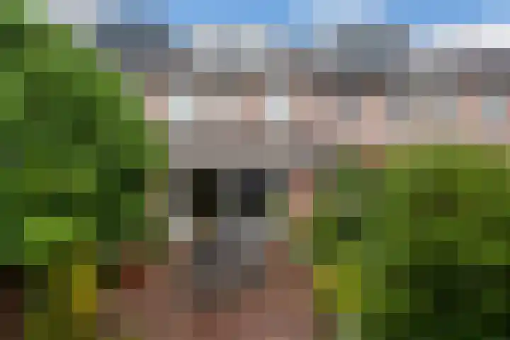 Vronesteijn 14 IJsselstein thumbnail 19