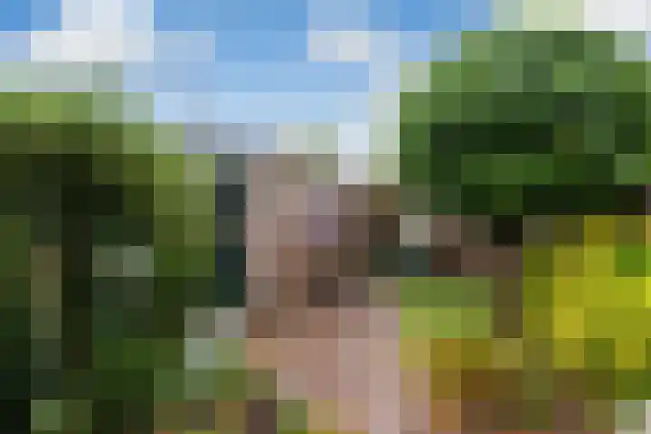 Vronesteijn 14 IJsselstein thumbnail 20