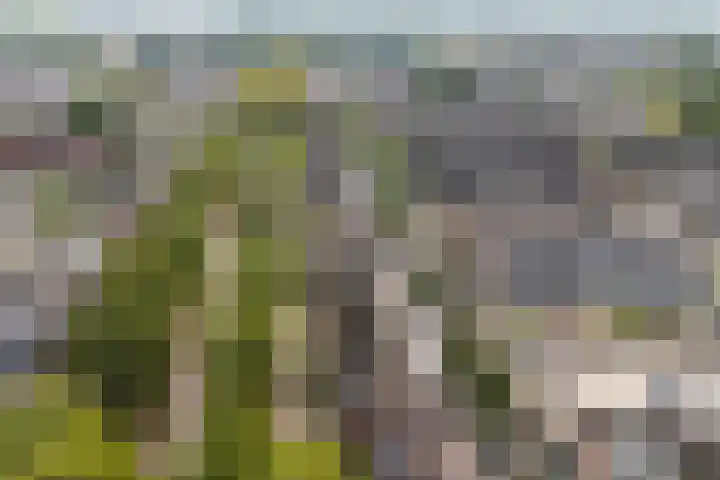 Vronesteijn 14 IJsselstein thumbnail 41