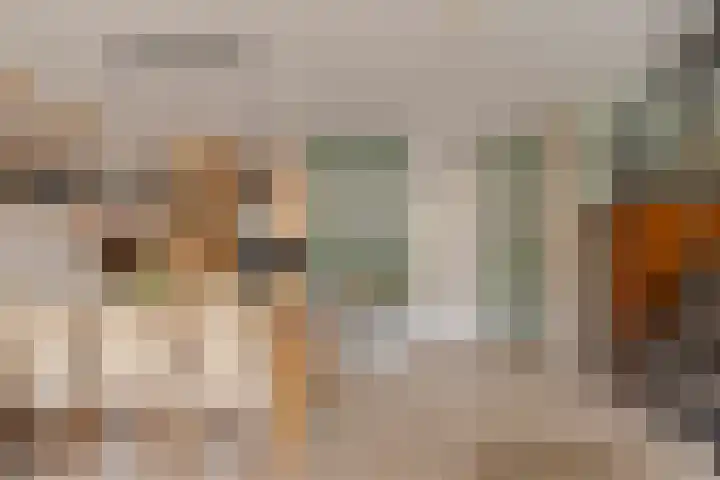 Vrouwenrecht 50 Pijnacker thumbnail 12