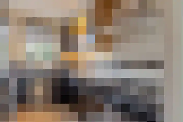 Vrouwenrecht 50 Pijnacker thumbnail 13
