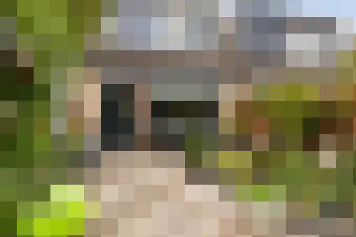 Vrouwenrecht 50 Pijnacker thumbnail 23