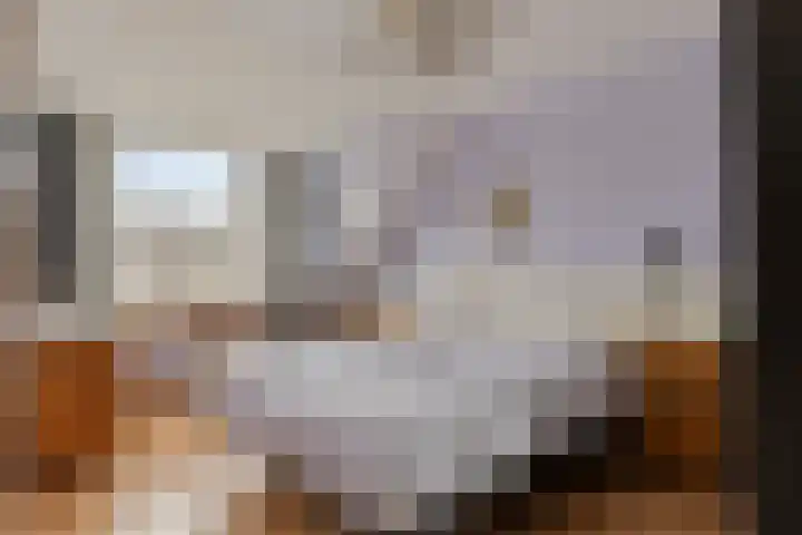 Vrouwenrecht 50 Pijnacker thumbnail 5