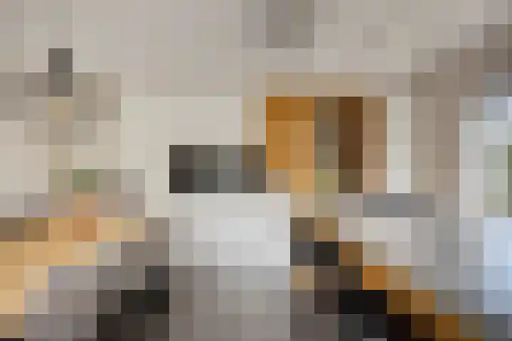 Vrouwkespad 16 Geffen thumbnail 14