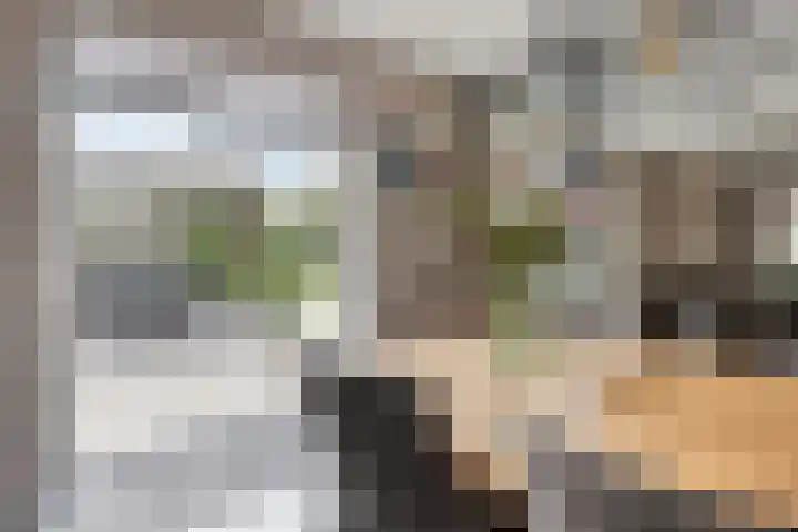 Vrouwkespad 16 Geffen thumbnail 17