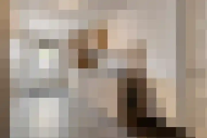 Vrouwkespad 16 Geffen thumbnail 18