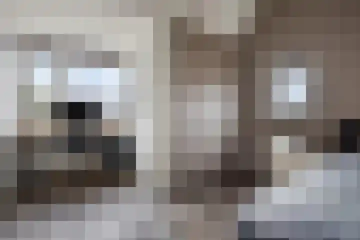 Vrouwkespad 16 Geffen thumbnail 31