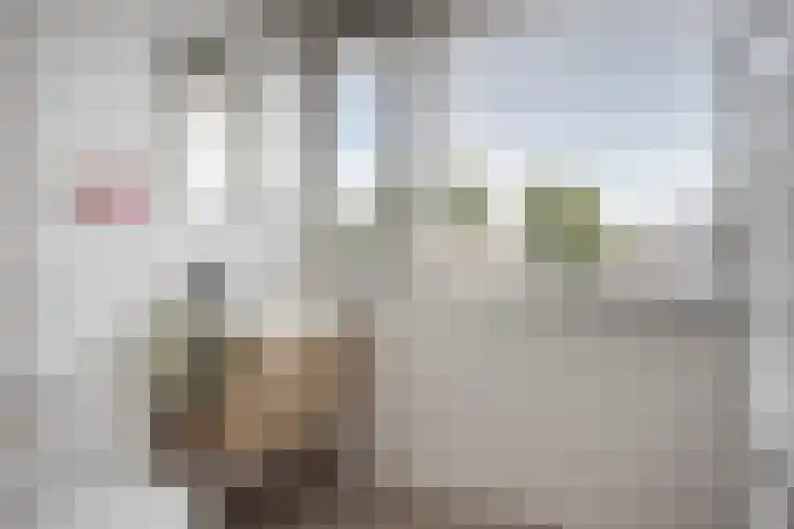Vrouwkespad 16 Geffen thumbnail 32