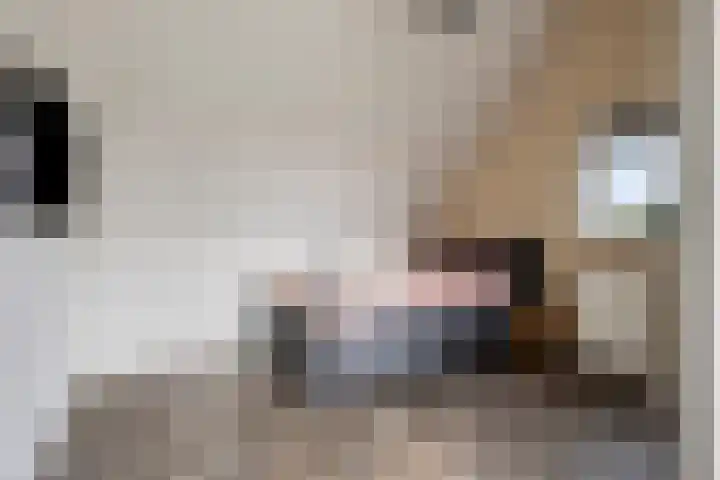 Vrouwkespad 16 Geffen thumbnail 34