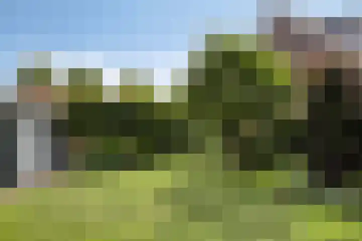 Vrouwkespad 16 Geffen thumbnail 38