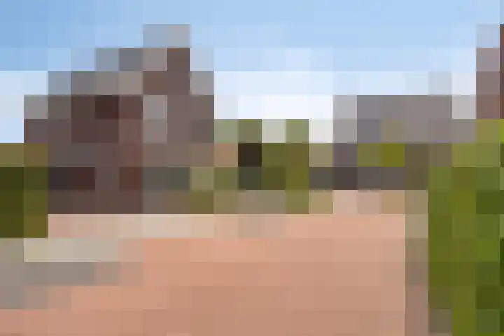 Vrouwkespad 16 Geffen thumbnail 43