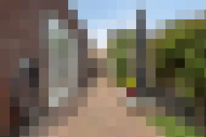 Vrouwkespad 16 Geffen thumbnail 49