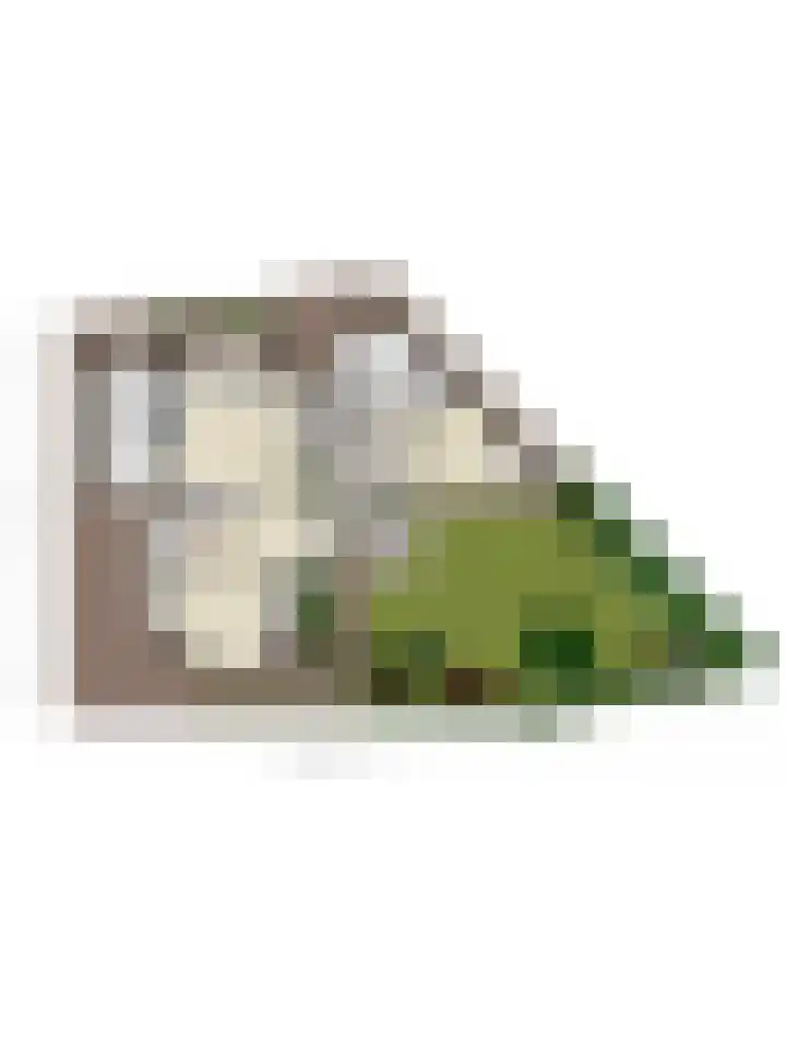 Vrouwkespad 16 Geffen thumbnail 53