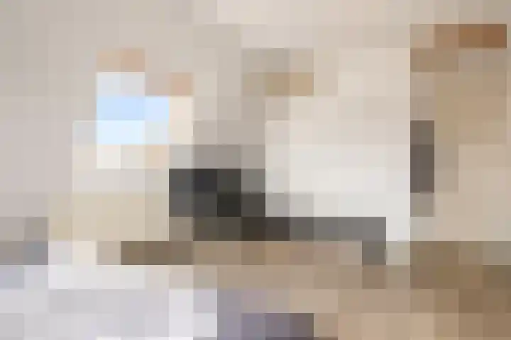 Vughterstraat 123 D 's-Hertogenbosch thumbnail 24
