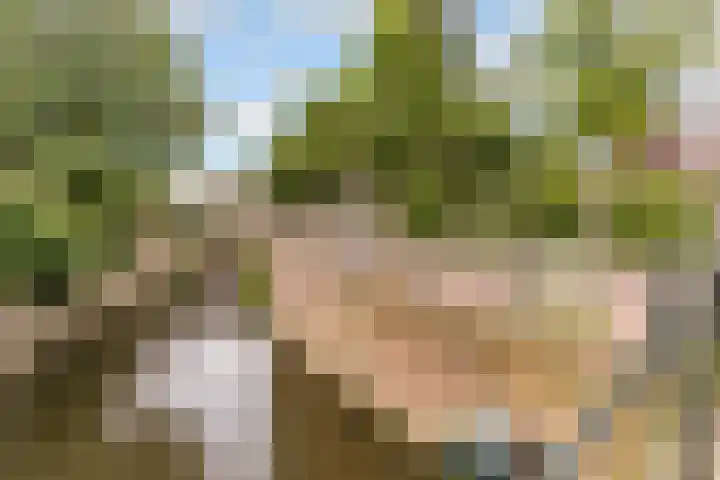 Vughterstraat 123 D 's-Hertogenbosch thumbnail 41