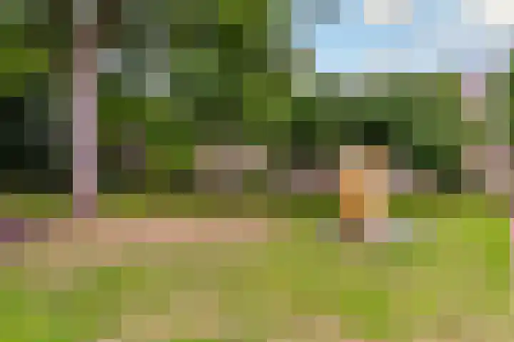 Vughterstraat 123 D 's-Hertogenbosch thumbnail 42