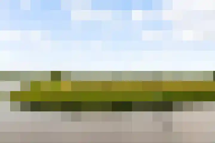 Vughterstraat 123 D 's-Hertogenbosch thumbnail 47