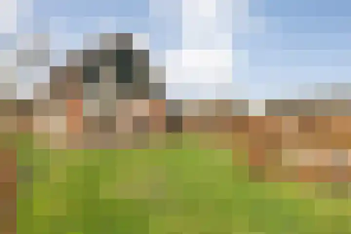 Vuile Riete 25 Linde thumbnail 12