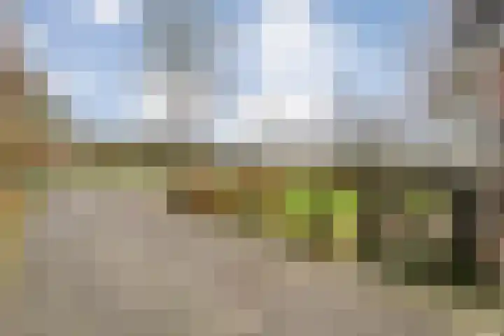 Vuile Riete 25 Linde thumbnail 13