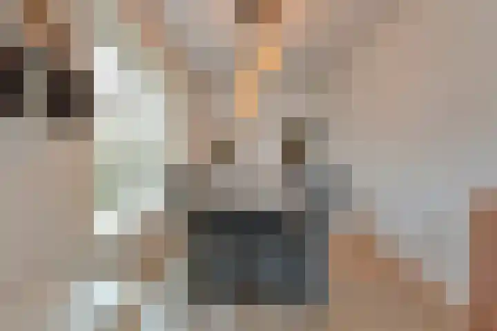 Vuile Riete 25 Linde thumbnail 20