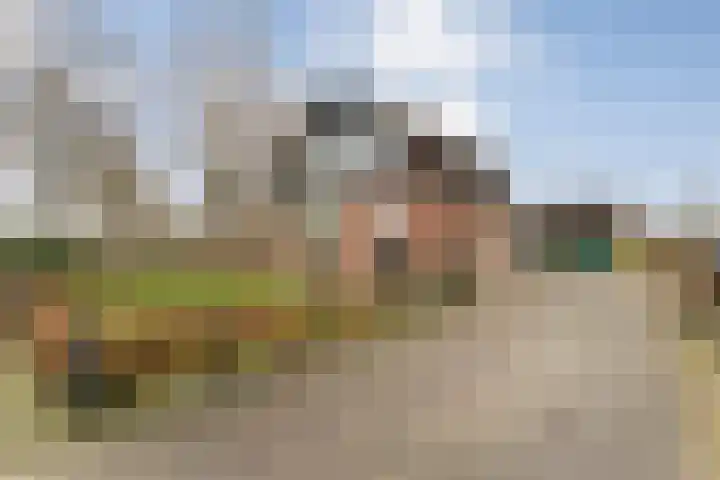 Vuile Riete 25 Linde thumbnail 4