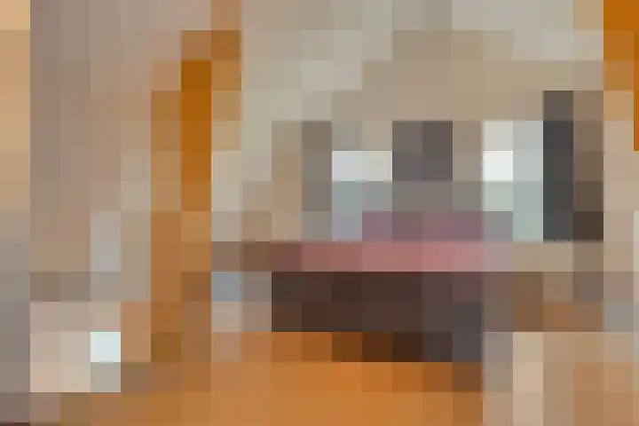 Vuile Riete 25 Linde thumbnail 40