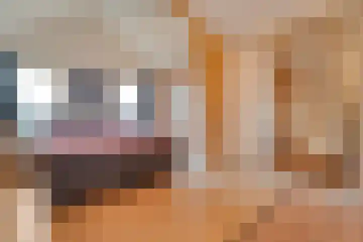 Vuile Riete 25 Linde thumbnail 41