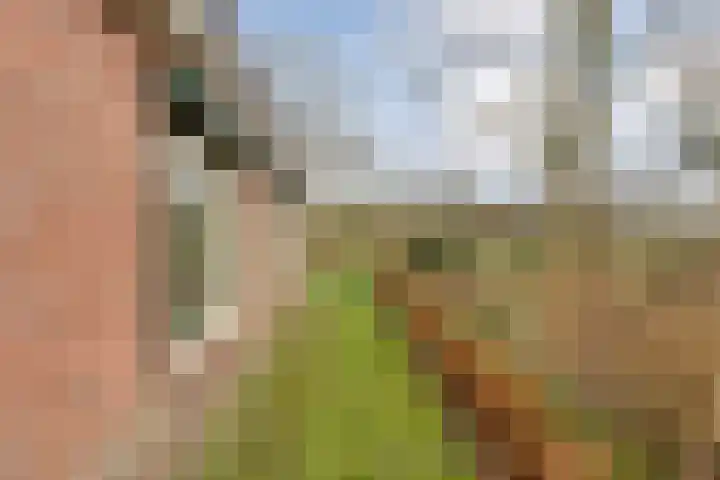 Vuile Riete 25 Linde thumbnail 45