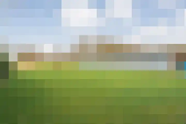 Vuile Riete 25 Linde thumbnail 51