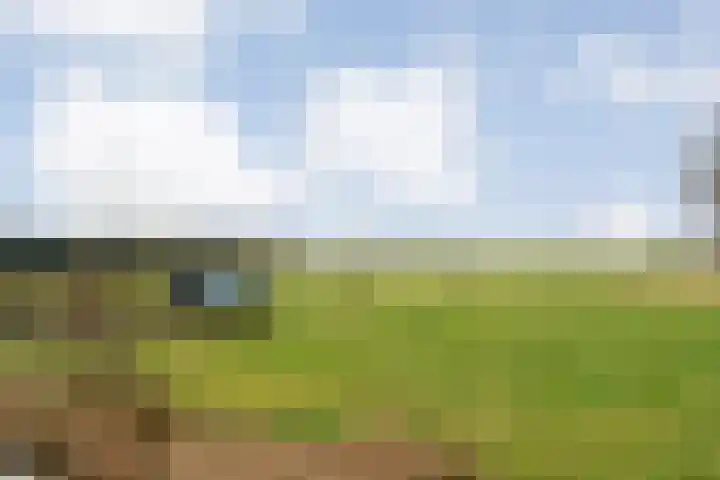 Vuile Riete 25 Linde thumbnail 56